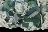 Blue-Green Fluorite on Sparkling Quartz - China #147031-3